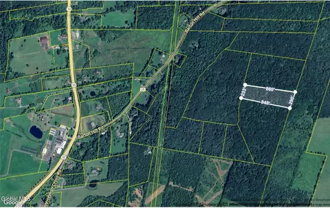 L8 Barton Hill Road, Schoharie, NY 12157
