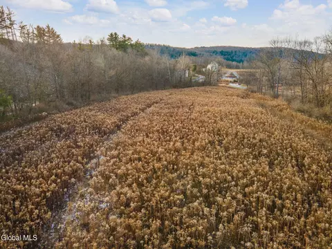 179 Patrick Rd, Cobleskill, NY 12043 photo 42