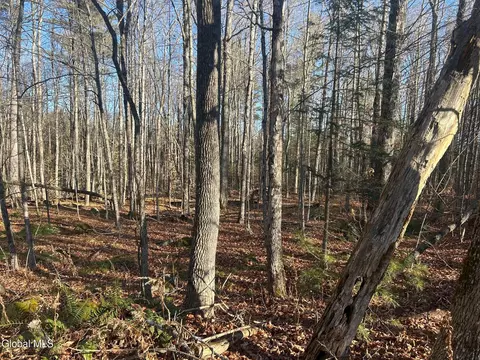 3171 Ny-8, Johnsburg, NY 12843