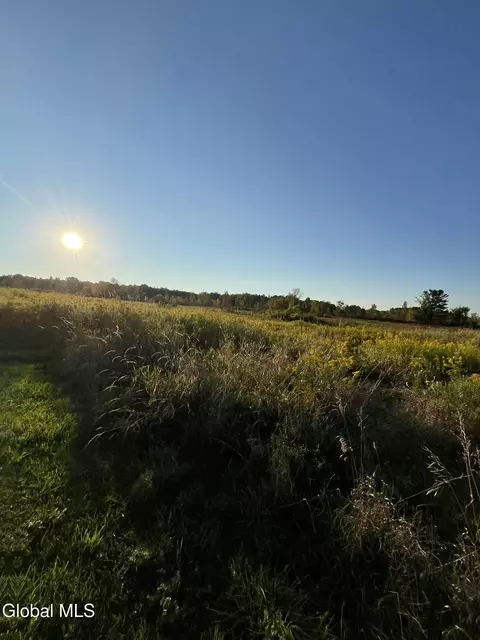 1296 State Highway 162, Sprakers, NY 12166 photo 42