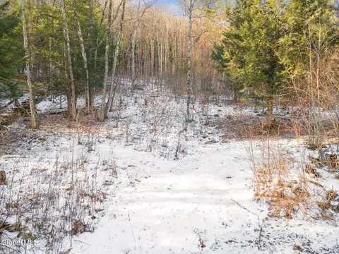163 Armlin Rd, Middleburgh, NY 12122