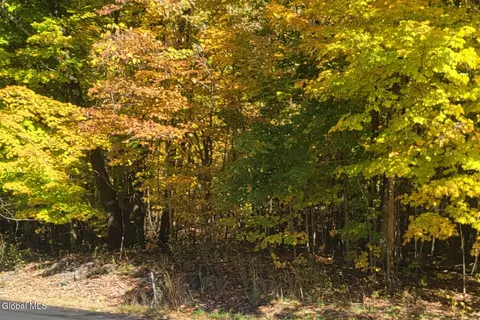 L3 Route 145, Cairo, NY 12413