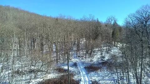 L1 Peakville Road, Hancock, NY 13783