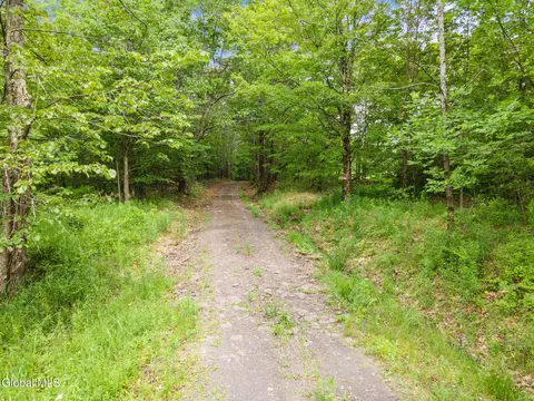 255 Lassen Rd, Middleburgh, NY 12122