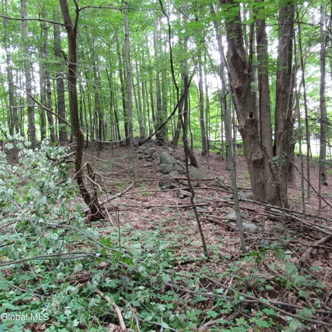 L11 Barker Road, Edinburg, NY 12134