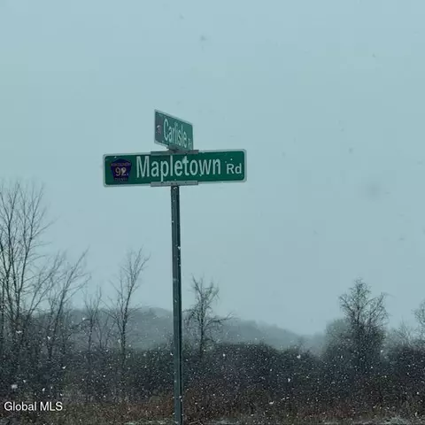 L4 Mapletown Road, Root, NY 12166 photo 15