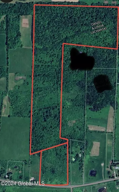L4 Mapletown Road, Root, NY 12166 photo 14