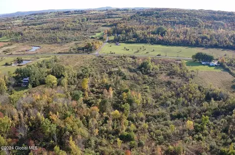 L4 Mapletown Road, Root, NY 12166 photo 4
