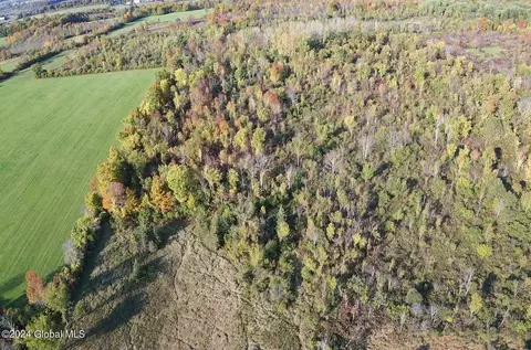 L4 Mapletown Road, Root, NY 12166 photo 10
