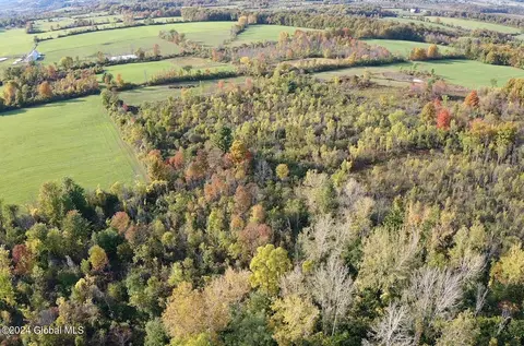 L4 Mapletown Road, Root, NY 12166 photo 5