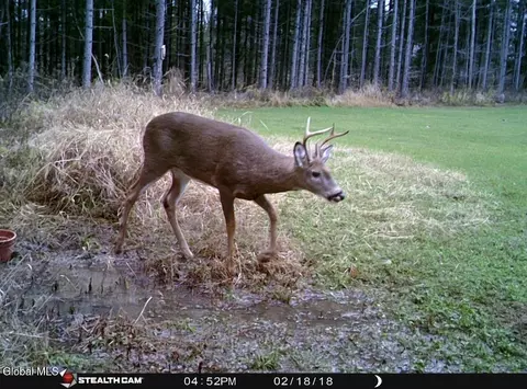 Other - 1200 Alexander Rd, Delanson, NY 12053 photo 24 of 24