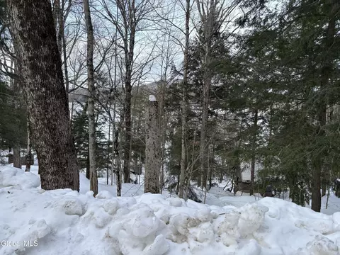 25 Sands Point Road # l, Canada Lake, NY 12032