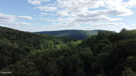 0 Gorge Rd, Middleburgh, NY 12122 photo 6