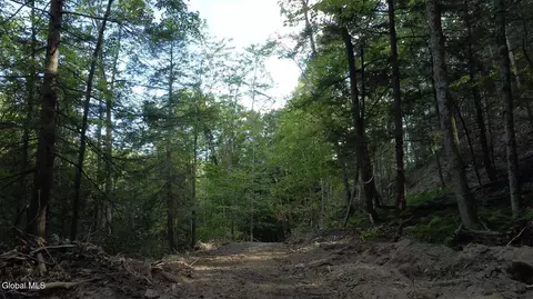 0 Gorge Rd, Middleburgh, NY 12122 photo 7