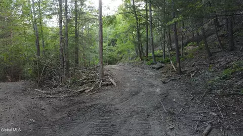 0 Gorge Rd, Middleburgh, NY 12122 photo 9