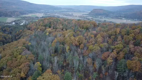 0 Gorge Rd, Middleburgh, NY 12122 photo 8