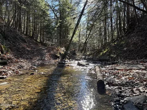 0 Gorge Rd, Middleburgh, NY 12122 photo 3