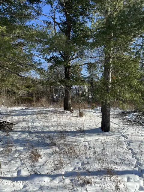 L1 Griffin Avenue, Hoosick Falls, NY 12090