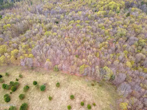 L15 Kostenko Sutton Road, Pitcher, NY 13136 photo 3