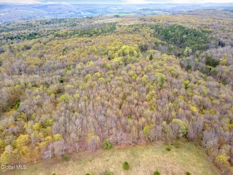 L15 Kostenko Sutton Road, Pitcher, NY 13136 photo 4