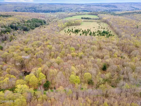 L15 Kostenko Sutton Road, Pitcher, NY 13136 photo 2