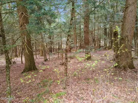 L15 Kostenko Sutton Road, Pitcher, NY 13136 photo 20