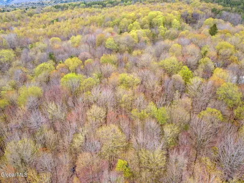 L15 Kostenko Sutton Road, Pitcher, NY 13136 photo 6