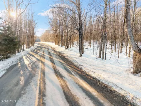 L1.2 Broome Center Road, Preston Hollow, NY 12469