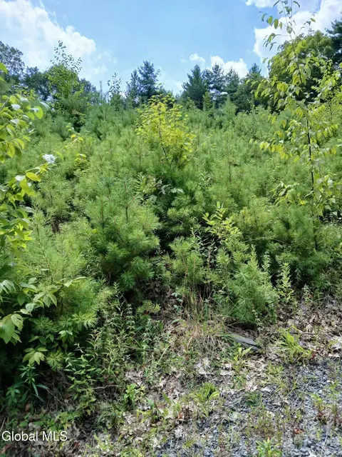 2468 Indian Fields Rd, New Scotland, NY 12067