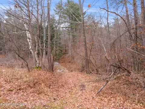 L18.1 Engle Road, Schoharie, NY 12157