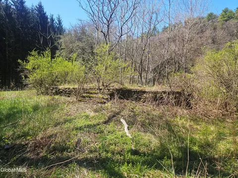 915 Mill Valley Rd, Middleburgh, NY 12122 photo 20