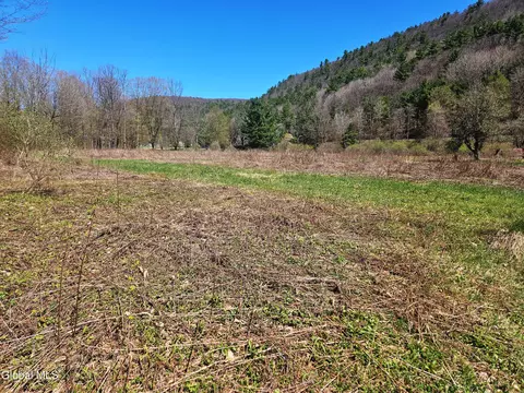 915 Mill Valley Rd, Middleburgh, NY 12122 photo 28