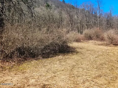 915 Mill Valley Rd, Middleburgh, NY 12122 photo 10