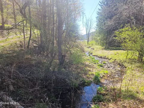 915 Mill Valley Rd, Middleburgh, NY 12122 photo 21