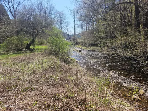 915 Mill Valley Rd, Middleburgh, NY 12122 photo 31