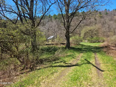 915 Mill Valley Rd, Middleburgh, NY 12122 photo 13