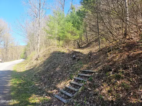 915 Mill Valley Rd, Middleburgh, NY 12122 photo 26