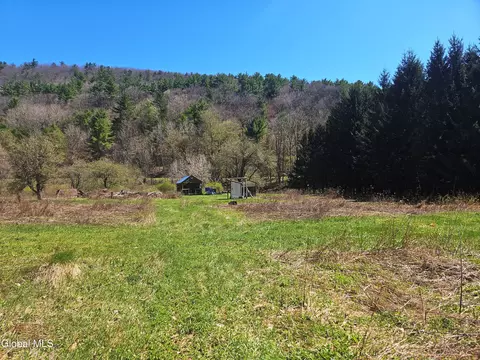 915 Mill Valley Rd, Middleburgh, NY 12122 photo 30