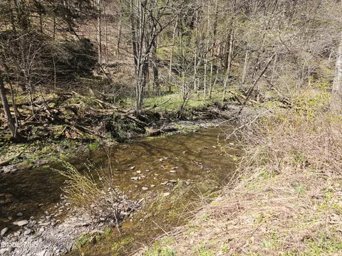 915 Mill Valley Rd, Middleburgh, NY 12122 photo 12