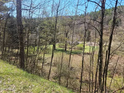 915 Mill Valley Rd, Middleburgh, NY 12122 photo 22