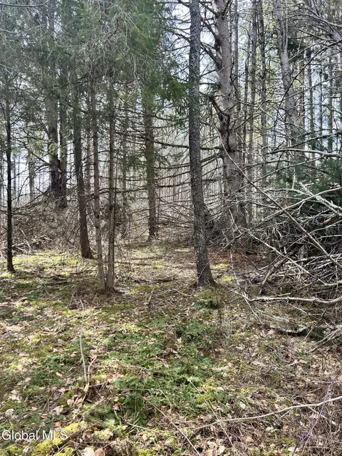 00 Weaver Dam Rd, Petersburgh, NY 12138