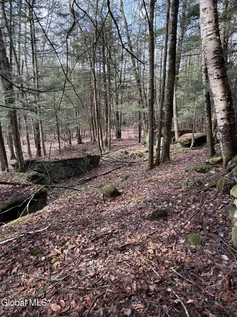 0 Becker Rd, Gilboa, NY 12122
