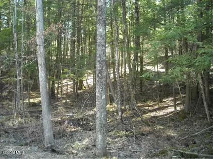 L-8.111 Carpenter, Johnsonville, NY 12094