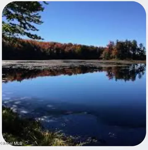 234 Cranberry Pond Rd, Cropseyville, NY 12052