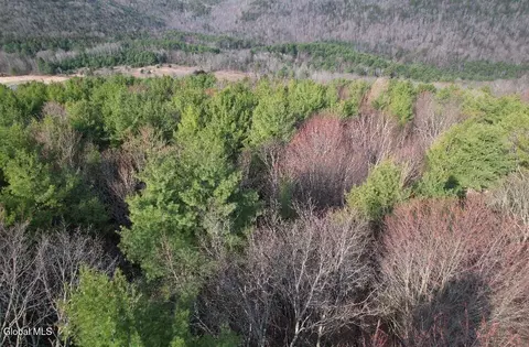 View/Area - 224 High Pine Meadows Rd, Middleburgh, NY 12122 photo 1 of 2