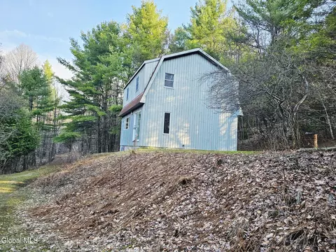 Exterior - 224 High Pine Meadows Rd, Middleburgh, NY 12122 photo 3 of 5