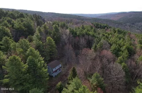 View/Area - 224 High Pine Meadows Rd, Middleburgh, NY 12122 photo 2 of 2