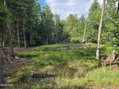L3 Emily Lane #3, Chestertown, NY 12817