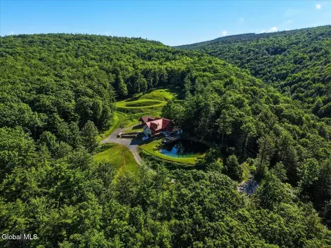 165 Vaughn Hill Rd, Middleburgh, NY 12122