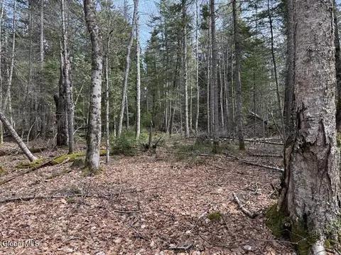 1 Youngs Road # 1, Schroon Lake, NY 12870